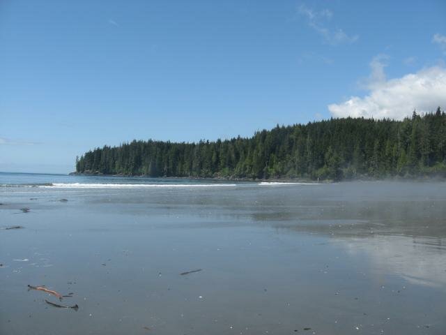 China Beach mist rising