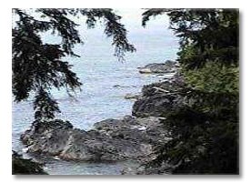 Parkinson Creek shoreline