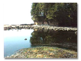 Juan de Fuca Marine Trail Vancouver Island